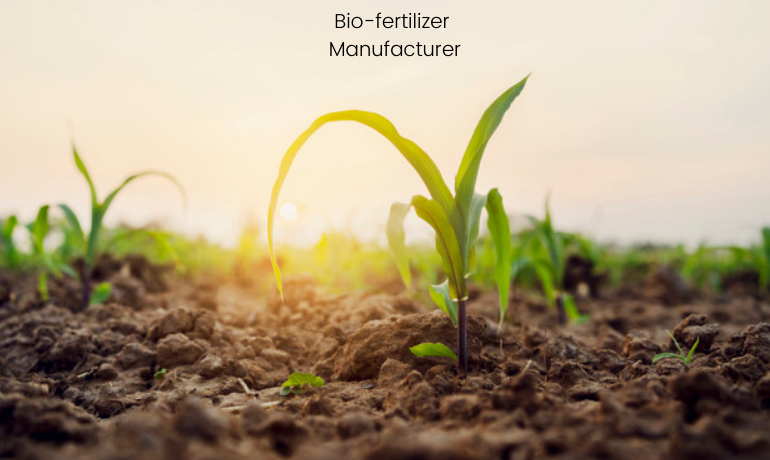bio fertilizer manufacturer