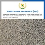 single super phosphate( SSP ) manufacturer and suppliers