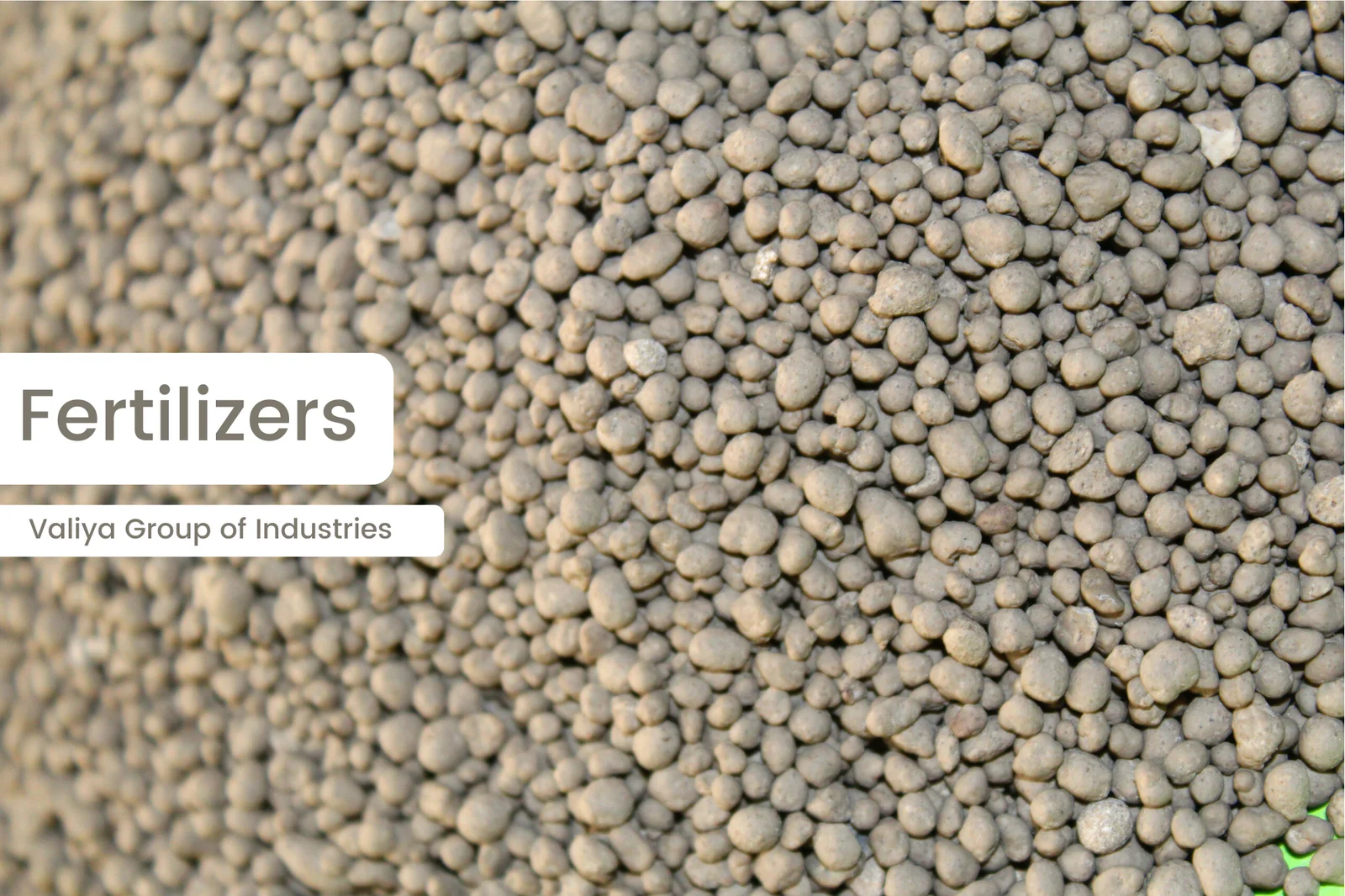 Fertilizer-1.webpnew